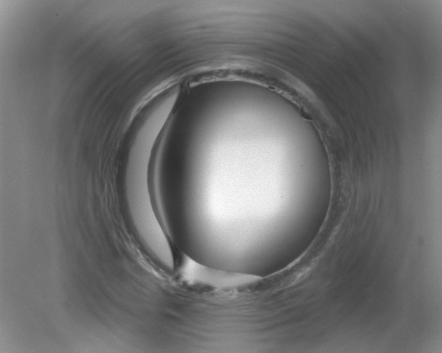 X0000081620826200702051230
