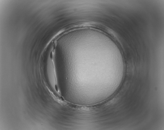 X0000081620827200702051230