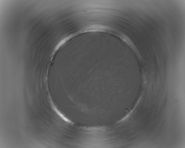 X0000081620842200702051231