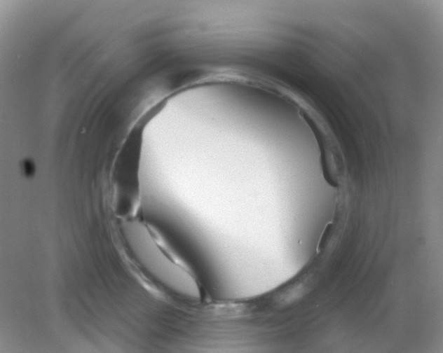 X0000081620858200702051231