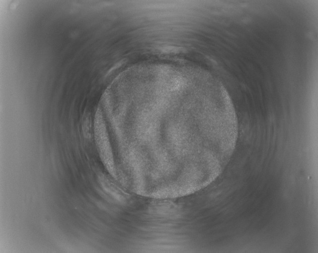 X0000081620866200702051230