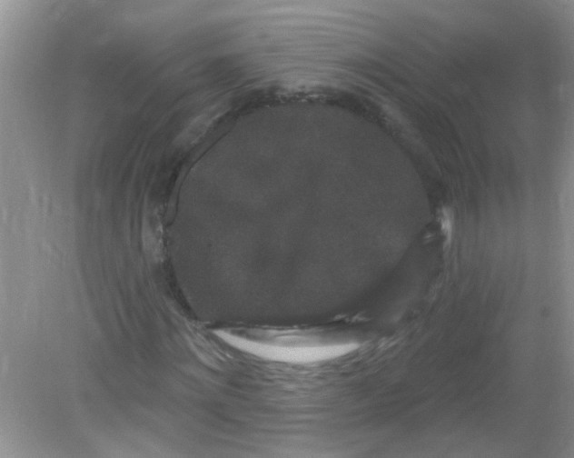 X0000081620868200702051230