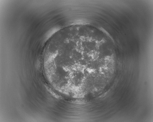 X0000081620874200702051230