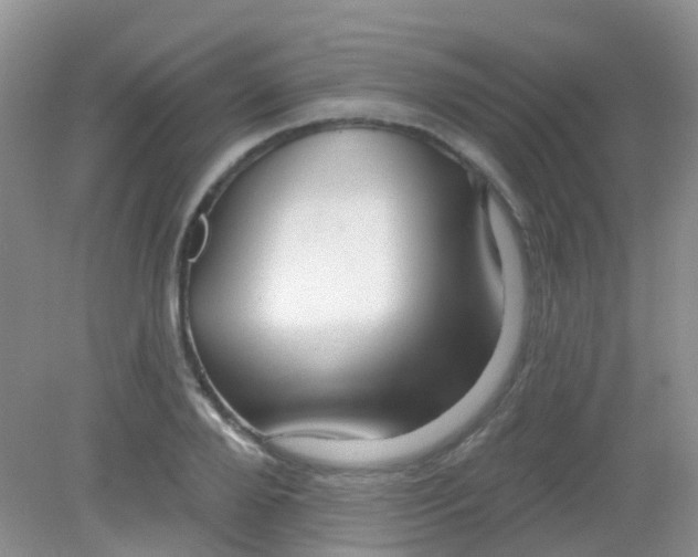 X0000081620888200702051230