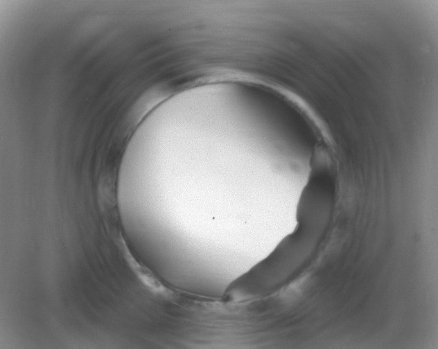 X0000081620905200702051229
