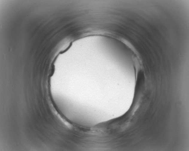 X0000081620906200702051229