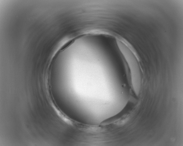 X0000081620909200702051229