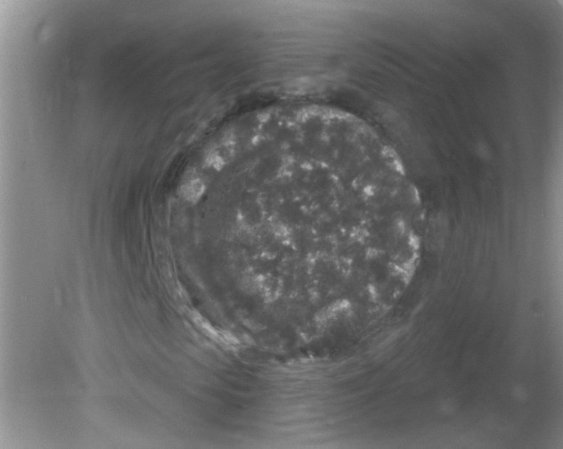 X0000081620913200702051228