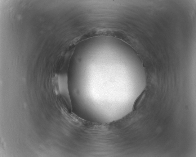 X0000081620914200702051228