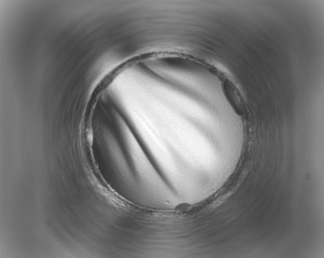 X0000081620928200702051229