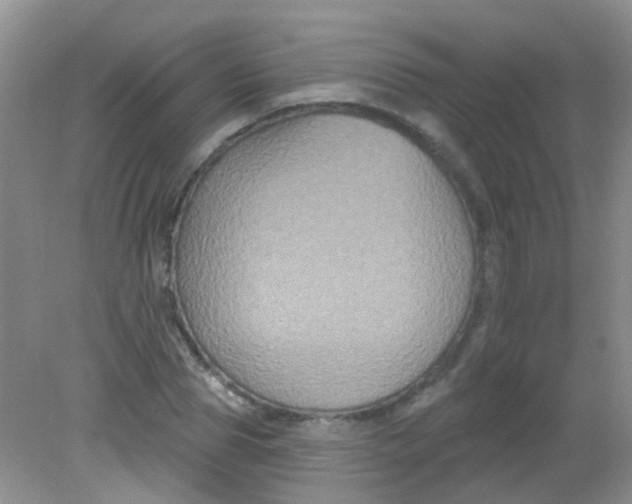 X0000081620929200702051229
