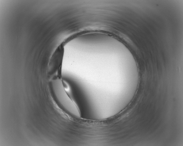 X0000081620934200702051229