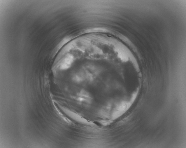 X0000081620945200702051229