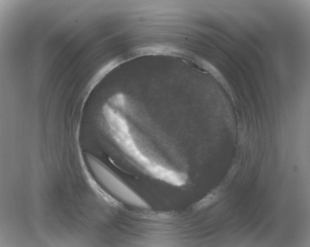 X0000081620946200702051229