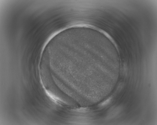X0000081620951200702051229