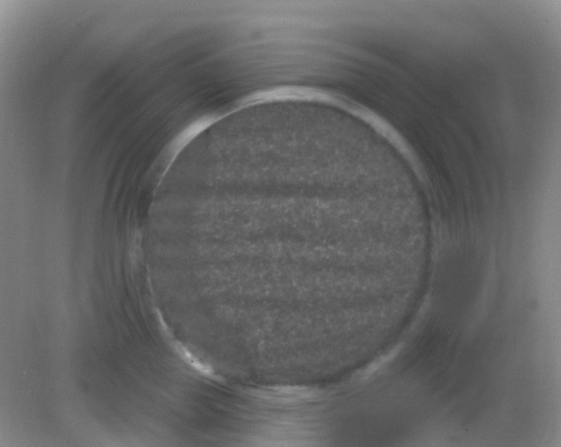 X0000081620953200702051229