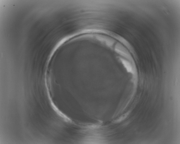 X0000081620958200702051229