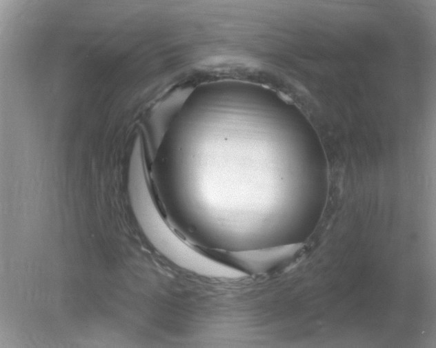 X0000081620965200702051228