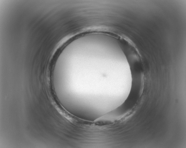 X0000081620981200702051228