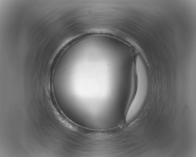 X0000081620984200702051228