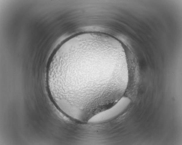 X0000081620992200702051228