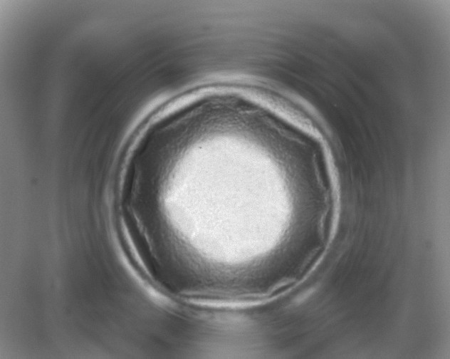 X0000081621007200702051228