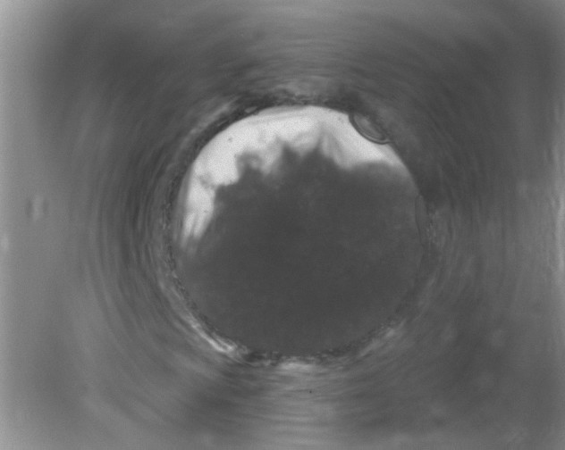 X0000081621009200702051227