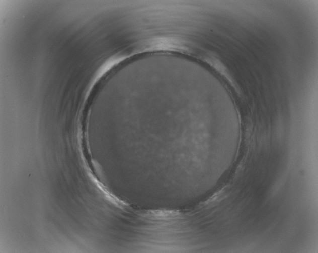 X0000081621024200702051227
