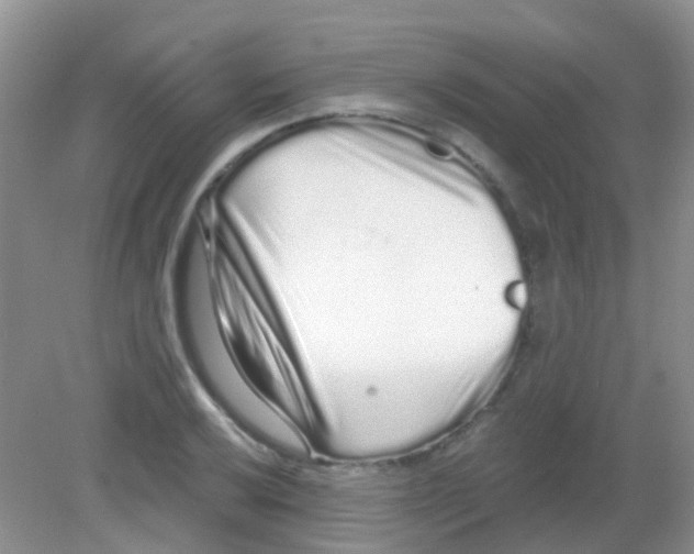 X0000081621032200702051227