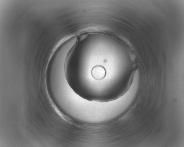 X0000081621034200702051227
