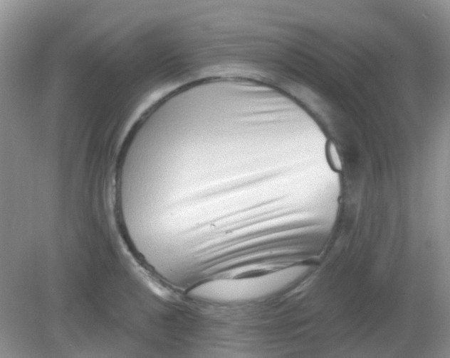 X0000081621040200702051227