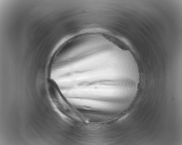 X0000081621046200702051227