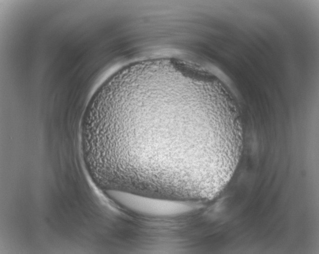 X0000081621047200702051228
