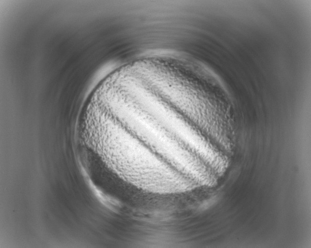X0000081621050200702051228