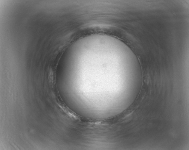 X0000081621061200702051227