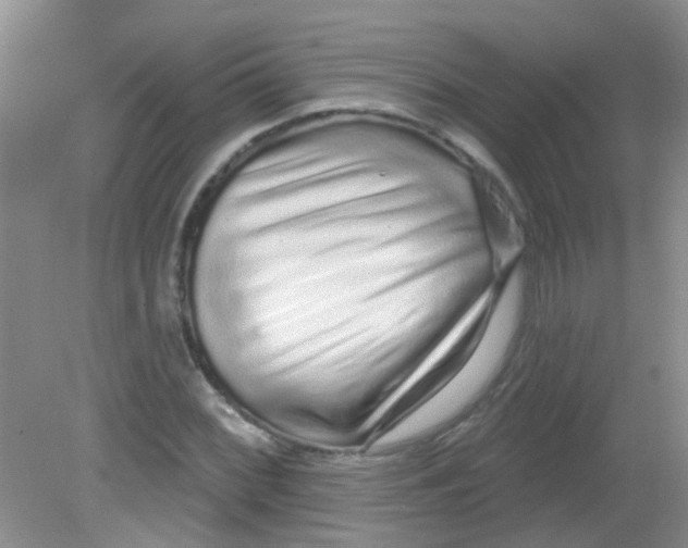 X0000081621068200702051227