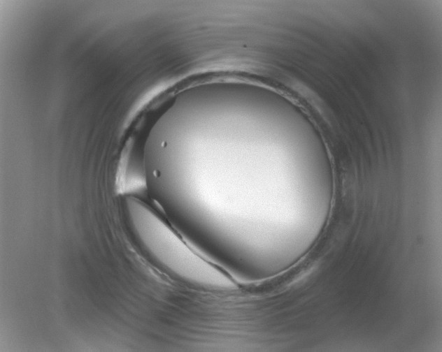 X0000081621069200702051227