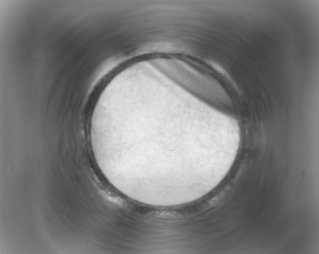X0000081621070200702051227