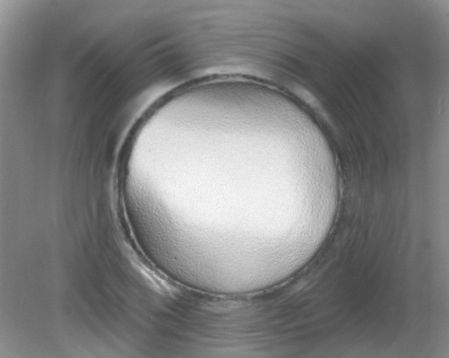 X0000081621076200702051227