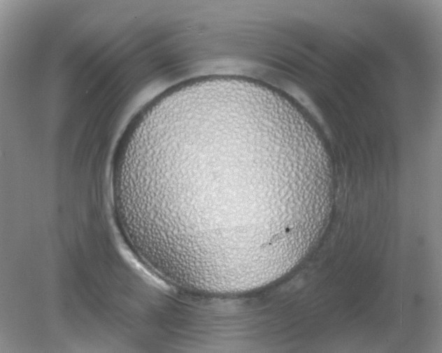X0000081621080200702051226