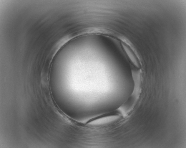 X0000081621089200702051226