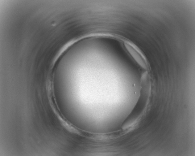 X0000081621101200702051226