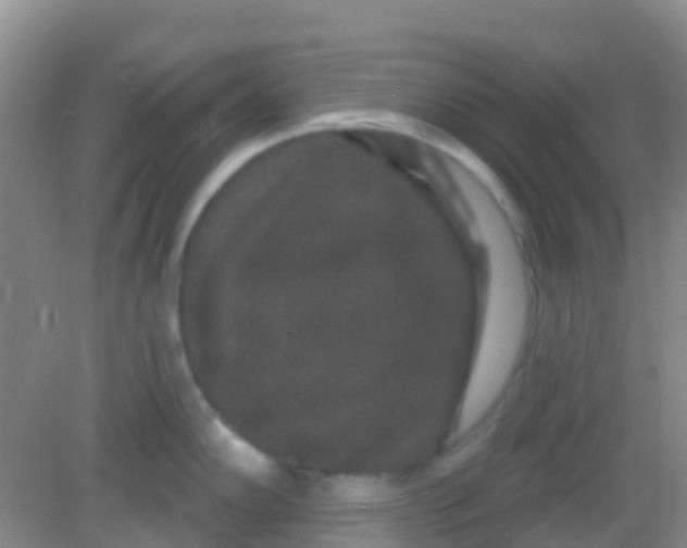 X0000081621102200702051226