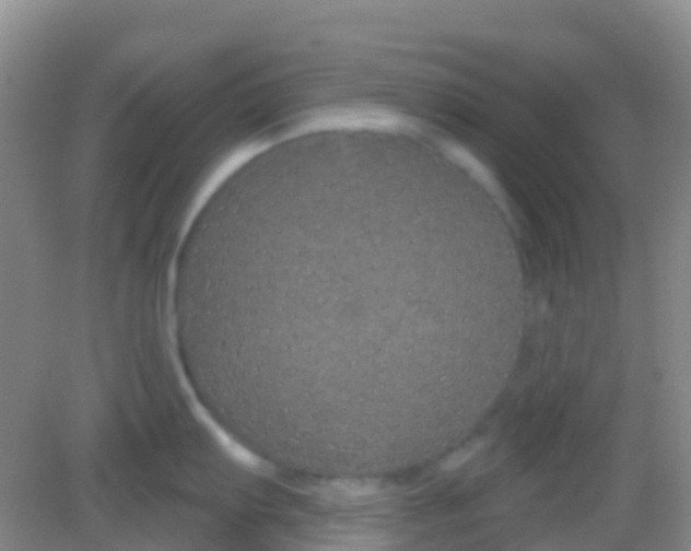 X0000081621103200702051226