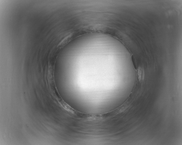 X0000081621107200702051225