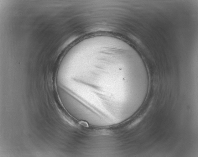 X0000081621113200702051225