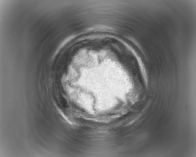 X0000081621115200702051225