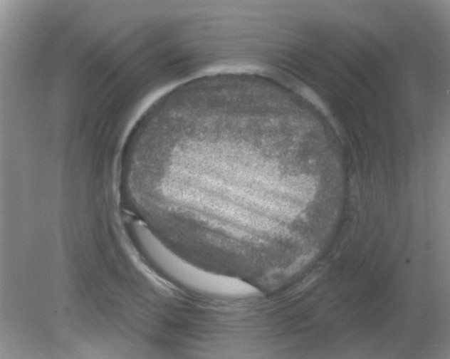 X0000081621124200702051226