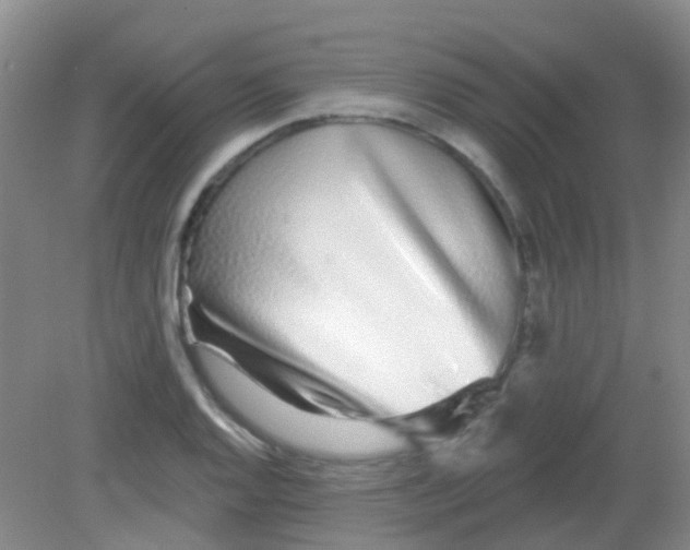 X0000081621128200702051226
