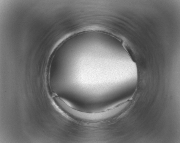 X0000081621134200702051226